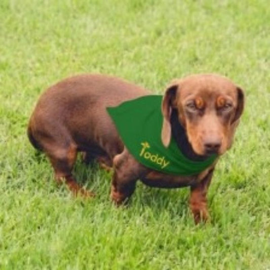 Bandana Pet Verde e Amarela