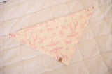 Babador Bandana Safari Rosa