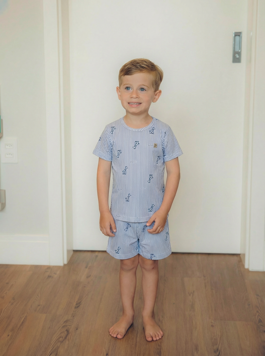 Conjunto Curto Camiseta e Shorts Listrado Azul
